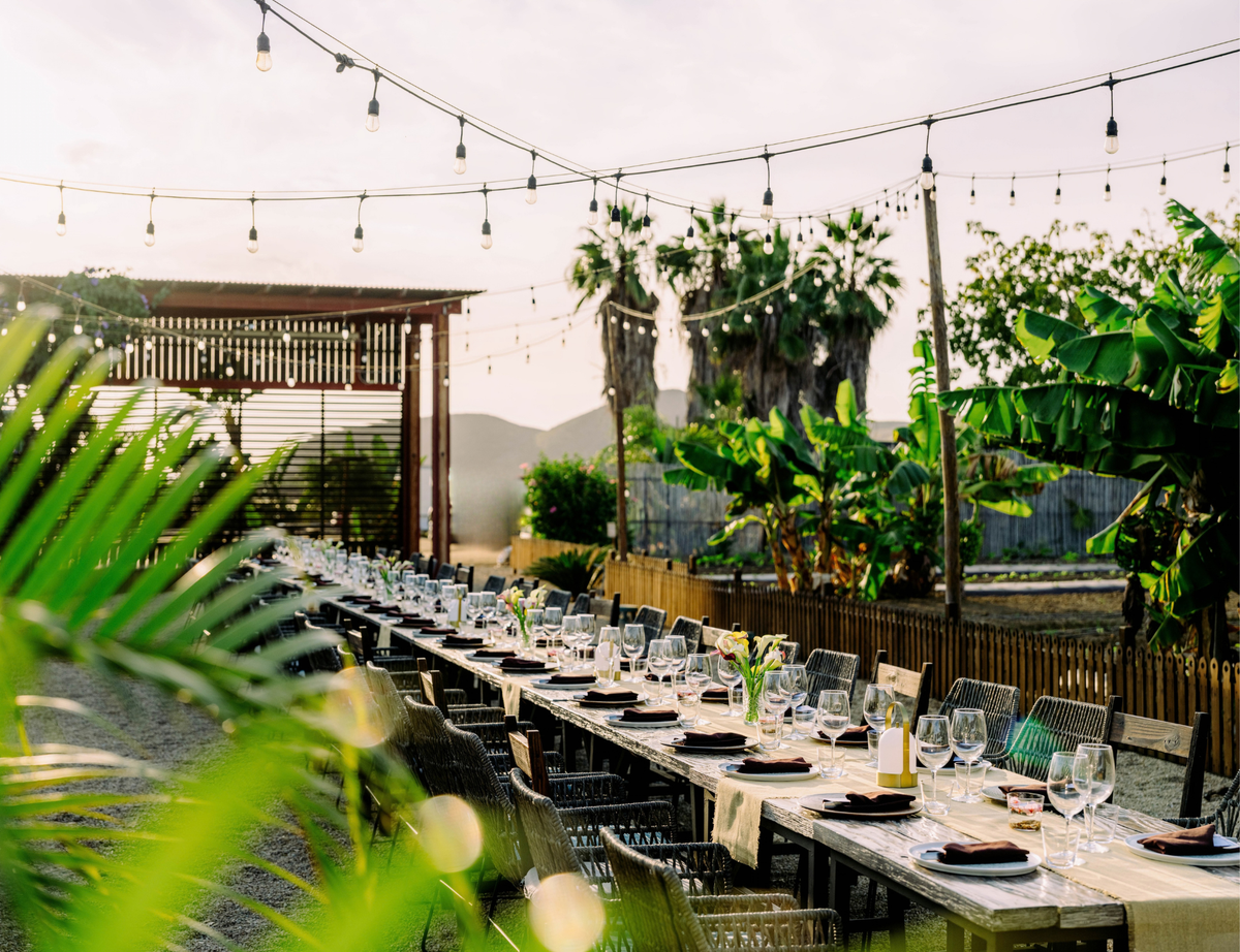 

Agricole Gatherings